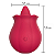 VIBRADOR EM FORMATO DE FLOR COM LINGUA ESTIMULADORA RECARREGÁVEL - Imagem 2