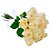 Buque de 15 Rosas Brancas - Imagem 1
