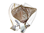 Bolsa OFF-WHITE, bauzinho, zípers metal - Imagem 3