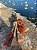 Colar de Mesa/Parede Penca Mar Abóbora (50cm) - Imagem 1