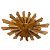 Resplendor Oval (70x50) - Imagem 1