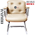 Cadeira Design Office Eames Signature Interlocutor Cromada- Capa em Madeira - Bege - Imagem 7