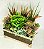Cachepot de Suculentas - Imagem 1