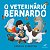 O veterinário Bernardo - Imagem 1