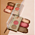 PALETA TRIO CONTORNO, BLUSH E ILUMINADOR DIA A DIA - MAHAV - Imagem 1