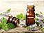 MENTA PIPERITA - Imagem 1