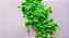 Corante Verde Fluorescente - Imagem 1