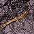 Pulseira Scarlet Ouro 18k Levíssima - Imagem 1