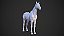Anatomia do Cavalo em 3D - Imagem 1