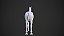 Anatomia do Cavalo em 3D - Imagem 4