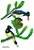 Fine Art Ornitologia e Arte - Gralha-picaça (Cyanocorax chrysops) - Imagem 1