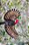 Livro Aves e Outros Encantos da Mantiqueira. Geiser Trivelato, Luiz Ribenboim e Roberto Torrubia. FRETE GRÁTIS - Imagem 3