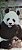 Card Chocolate Surpresa - Álbum Animais de todo o Mundo 1983 - Panda - Usado - Imagem 1