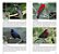 Livro Guia Fotográfico Aves do Estado de São Paulo - Edson Endrigo - Imagem 2