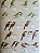 Livro Illustrated Checklist of The Birds of the World - vol 1 Non-passerines - USADO - Imagem 16