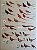 Livro Illustrated Checklist of The Birds of the World - vol 1 Non-passerines - USADO - Imagem 6