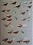 Livro Illustrated Checklist of The Birds of the World - vol 1 Non-passerines - USADO - Imagem 9