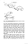 Livro Animal Play: Evolutionary, Comparative and Ecological Perspectives- USADO - Imagem 4