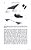 Livro Animal Play: Evolutionary, Comparative and Ecological Perspectives- USADO - Imagem 6