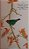 Livro A Guide to the Birds of Trinidad & Tobago - USADO - Imagem 5