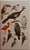 Livro A Guide to the Birds of Trinidad & Tobago - USADO - Imagem 6