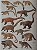 Livro Handbook of the Mammals of the World - vol 01. Carnivores - USADO - Imagem 7