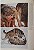 Livro Handbook of the Mammals of the World - vol 01. Carnivores - USADO - Imagem 8