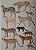 Livro Handbook of the Mammals of the World - vol 01. Carnivores - USADO - Imagem 12
