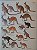 Livro Handbook of the Mammals of the World - vol 05. Monotremes and Marsupials - USADO - Imagem 5