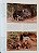 Livro Handbook of the Mammals of the World - vol 05. Monotremes and Marsupials - USADO - Imagem 9