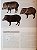 Livro Handbook of the Mammals of the World - vol 02. Hoofed Mammals - USADO - Imagem 7