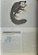 Livro Handbook of the Mammals of the World - vol 03. Primates - USADO - Imagem 3