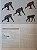 Livro Handbook of the Mammals of the World - vol 03. Primates - USADO - Imagem 12