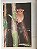 Livro Handbook of the Mammals of the World - vol 03. Primates - USADO - Imagem 4