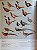 Livro Handbook of the Birds of the World - vol 02. New World Vultures to Guineafowl - USADO - Imagem 4