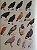 Livro Handbook of the Birds of the World - vol 02. New World Vultures to Guineafowl - USADO - Imagem 9