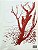 Livro Handbook of the Birds of the World - vol 07. Jacamars to Woodpeeckers- USADO - Imagem 16