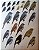 Livro Handbook of the Birds of the World - vol 09. Cotingas to Pipits and Wagtails - USADO - Imagem 4