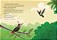 Livro Infantil As Aventuras do Topetinho Magnífico na Amazônia - Cristina Rappa - Imagem 3