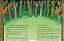 Livro Infantil As Aventuras do Topetinho Magnífico na Amazônia - Cristina Rappa - Imagem 5