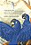 Livro Infantil As Araras Azuis do Pantanal - Cristina Rappa - Imagem 4
