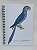 Caderno Meia Pauta Arara-azul - Imagem 1