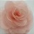 Choker Flor Rosê FL022ROSE - Imagem 2