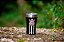 Copo Térmico Arell Inox Para Cerveja Bebidas Corinthians 500 Ml - Imagem 8