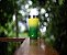 Copo Térmico Inox Cerveja Café Bebidas Patriot Tulip 500 Ml - Imagem 7