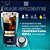 Copo Térmico Inox Para Cerveja Café Bebidas Storm 500 Ml - Imagem 2