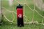 Garrafa Térmica Arell Flamengo Urubu Com Isolamento 650ml - Imagem 7