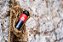 Garrafa Térmica Arell Flamengo Urubu Com Isolamento 650ml - Imagem 6