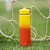 Garrafa Térmica Arell Sunset Para Academia Cross Sport 650ml - Imagem 11