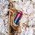 Garrafa Térmica Arell Wild Violet Para Academia Cross 650ml - Imagem 8